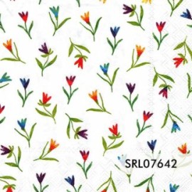 SERVILLETA ALEMANA SRL07642