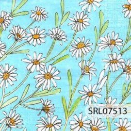 SERVILLETA ALEMANA SRL07513