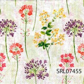 SERVILLETA ALEMANA SRL07455