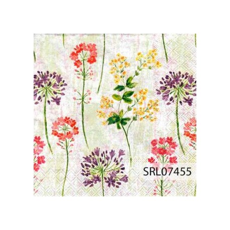 SERVILLETA ALEMANA SRL07455