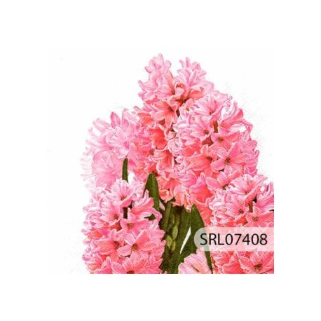 SERVILLETA ALEMANA SRL07408