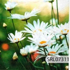 SERVILLETA ALEMANA SRL07311