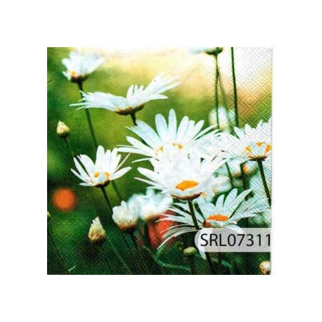 SERVILLETA ALEMANA SRL07311