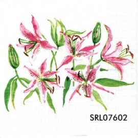 SERVILLETA ALEMANA SRL07602