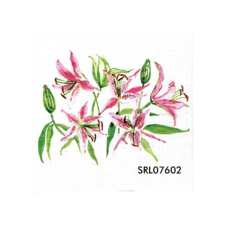 SERVILLETA ALEMANA SRL07602
