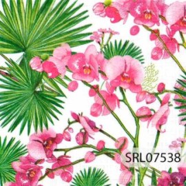 SERVILLETA ALEMANA SRL07538