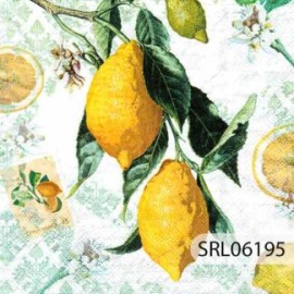 SERVILLETA ALEMANA SRL06195
