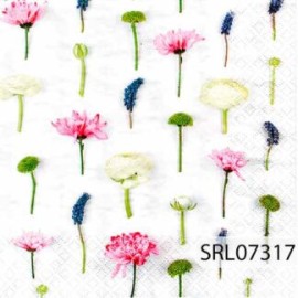 SERVILLETA ALEMANA SRL07317