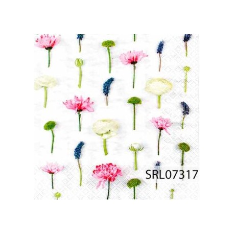 SERVILLETA ALEMANA SRL07317