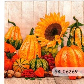 SERVILLETA ALEMANA SRL06269