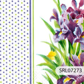 SERVILLETA ALEMANA SRL07273