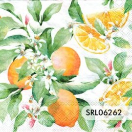SERVILLETA ALEMANA SRL06262