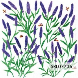 SERVILLETA ALEMANA SRL07736