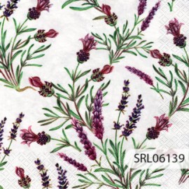 SERVILLETA ALEMANA SRL06139