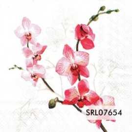 SERVILLETA ALEMANA SRL07654