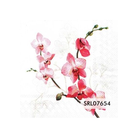 SERVILLETA ALEMANA SRL07654