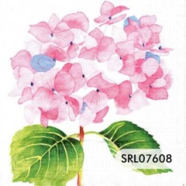 SERVILLETA ALEMANA SRL07608