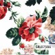 SERVILLETA ALEMANA SRL07586