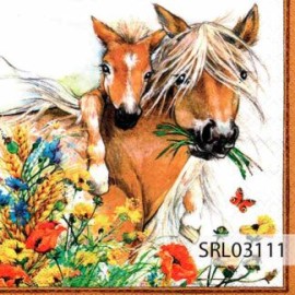 SERVILLETA ALEMANA SRL03111