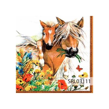 SERVILLETA ALEMANA SRL03111